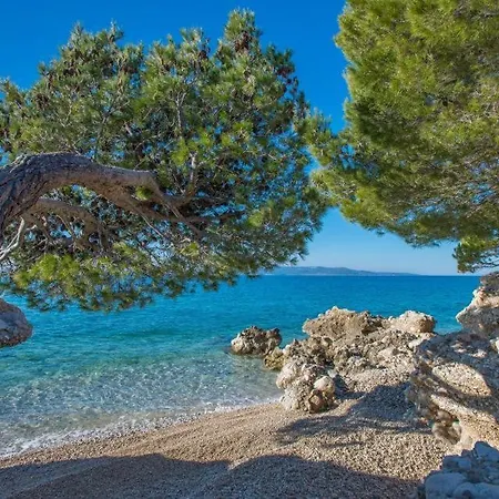 Ivan * Makarska